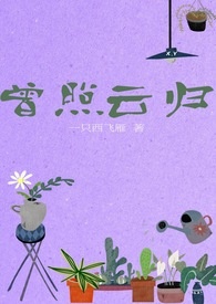 曾照彩云归短剧
